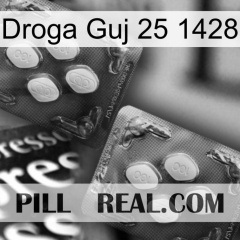 Guj Drug 25 1428 01